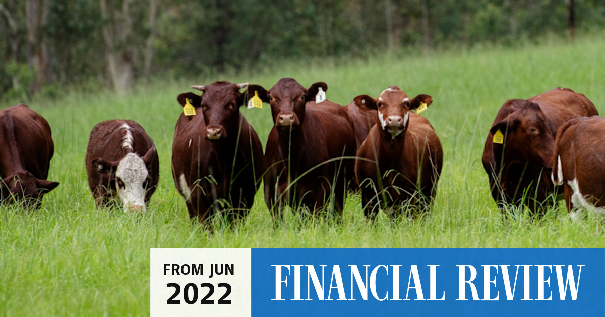 NZ Rural Land Company launches shortfall auction